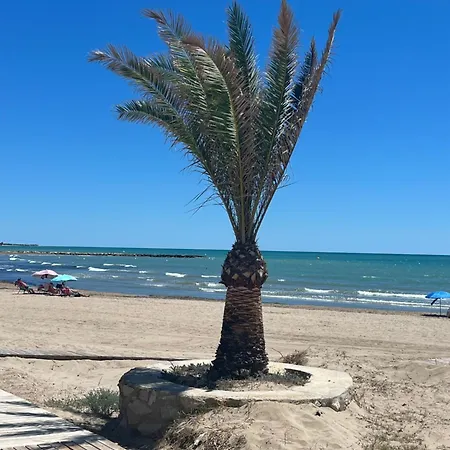 Torresnostra Experience Torreblanca