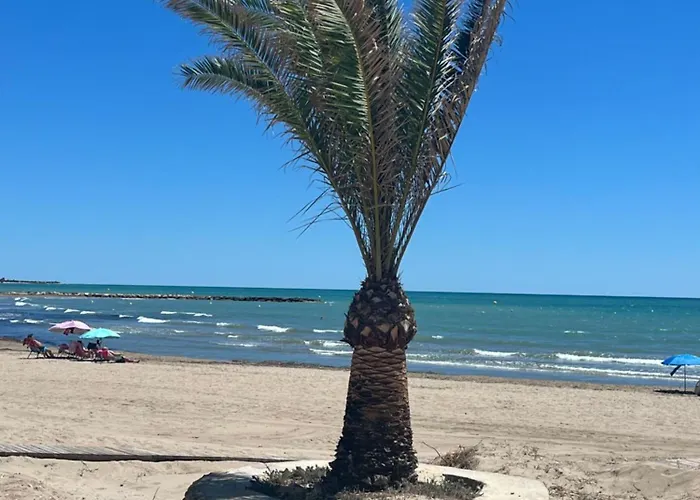 Torresnostra Experience Torreblanca